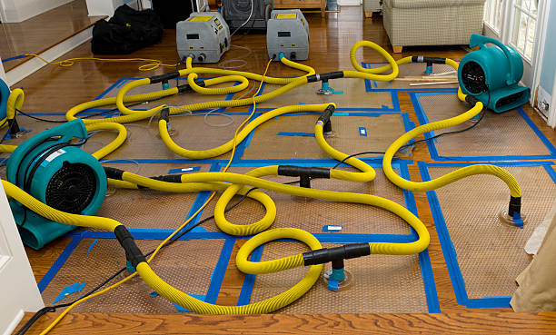 Professional Structural Drying And Dehumidification technician working in Trenton, FL